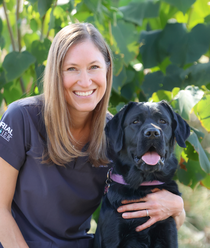 Julie Kroll